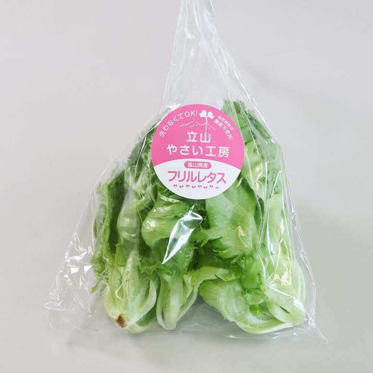 teiki_lettuce_01